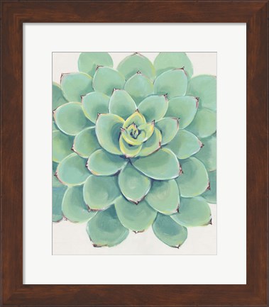 Framed Pastel Succulent III Print