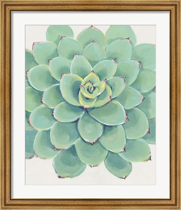 Framed Pastel Succulent III Print