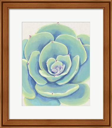 Framed Pastel Succulent IV Print