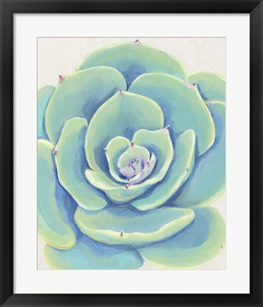 Framed Pastel Succulent IV Print