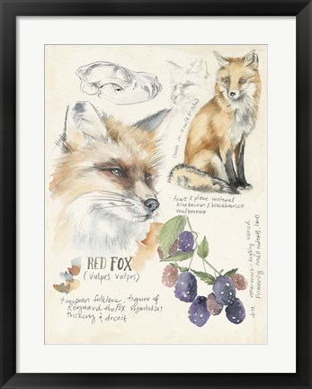 Framed Wildlife Journals III Print