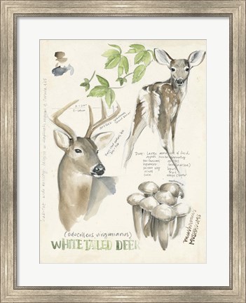 Framed Wildlife Journals IV Print