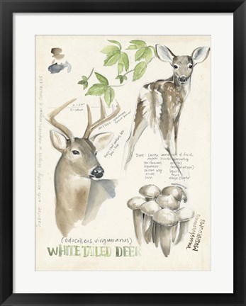 Framed Wildlife Journals IV Print