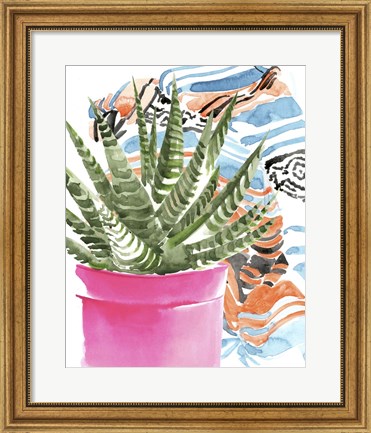 Framed Zebra Succulent II Print