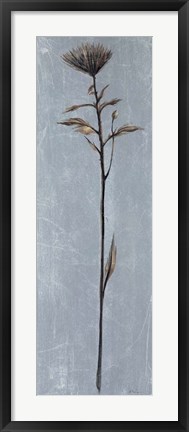 Framed Cool Botanicals II Print