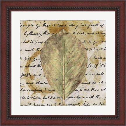 Framed Earth Leaf II Print