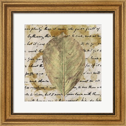Framed Earth Leaf II Print