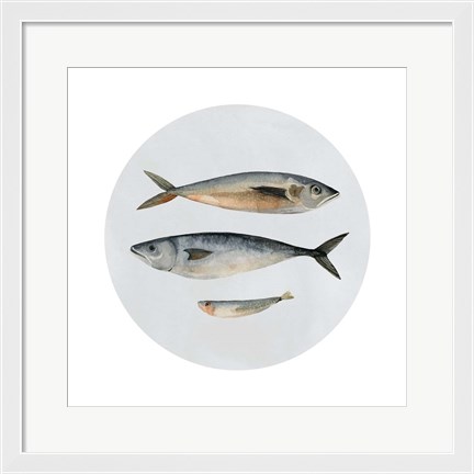 Framed Three Fish I Print