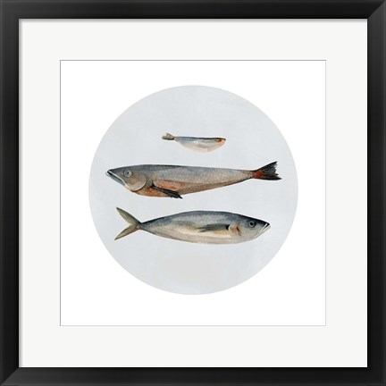 Framed Three Fish II Print