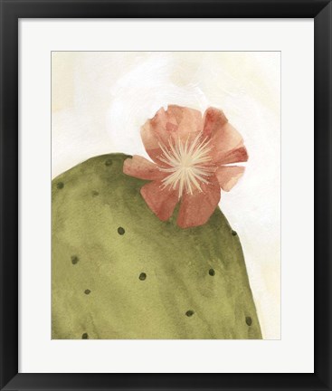 Framed Arid Bloom II Print