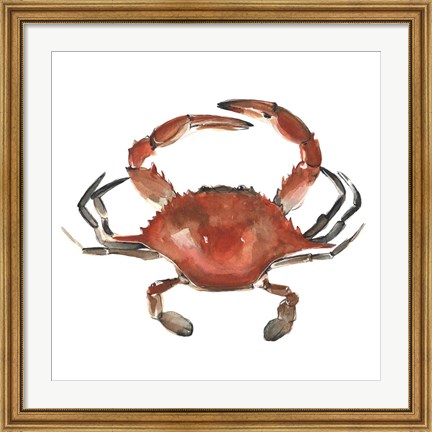 Framed Watercolor Crab I Print
