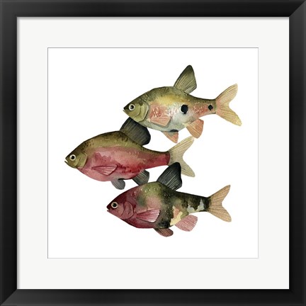 Framed Rainbow Fish I Print