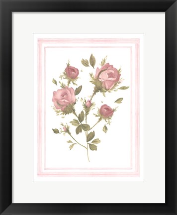 Framed Rose Pattern II Print