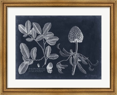 Framed Foliage on Navy II Print