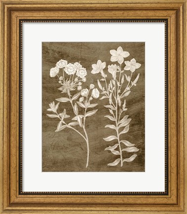 Framed Botanical in Taupe I Print