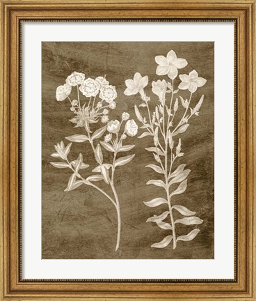 Framed Botanical in Taupe I Print