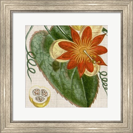 Framed Cropped Turpin Tropicals I Print