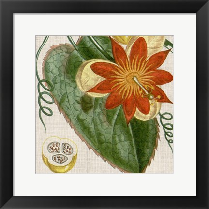 Framed Cropped Turpin Tropicals I Print