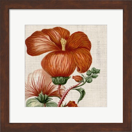 Framed Cropped Turpin Tropicals VIII Print