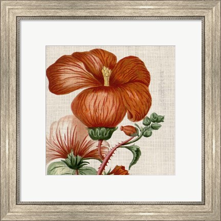 Framed Cropped Turpin Tropicals VIII Print