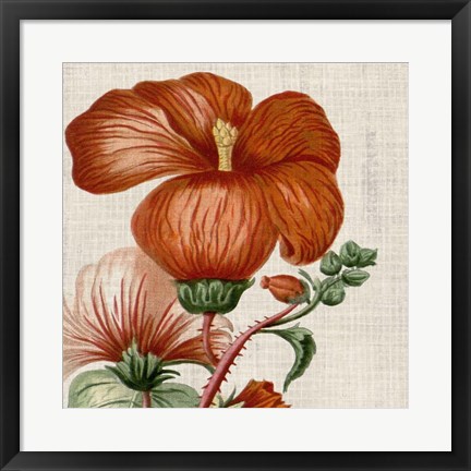 Framed Cropped Turpin Tropicals VIII Print