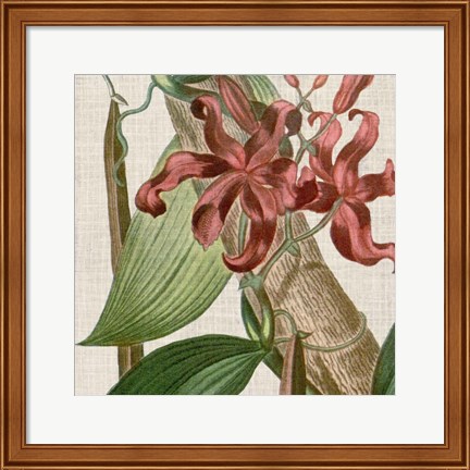 Framed Cropped Turpin Tropicals IX Print