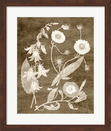 Framed Botanical in Taupe III Print
