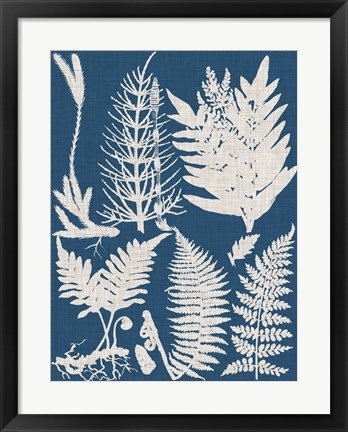 Framed Linen &amp; Blue Ferns II Print