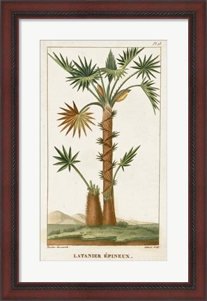 Framed Exotic Palms I Print