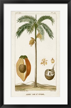 Framed Exotic Palms V Print