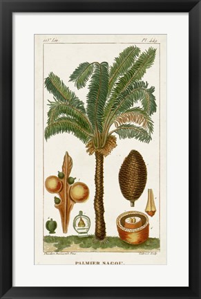 Framed Exotic Palms VII Print
