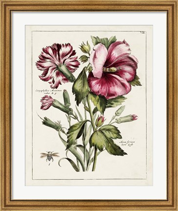 Framed Pink Hibiscus Print