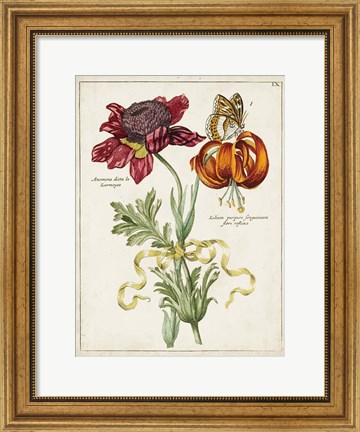 Framed Botanical Bouquet II Print