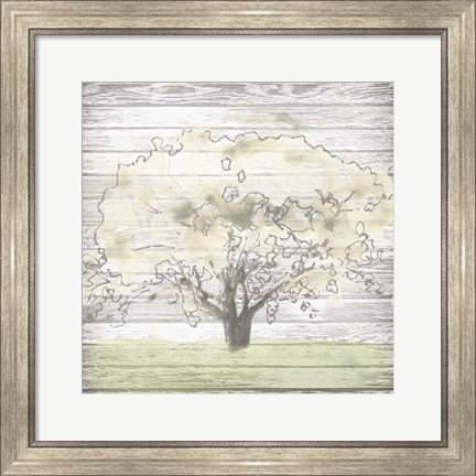 Framed Barn Tree I Print