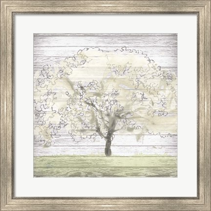 Framed Barn Tree II Print