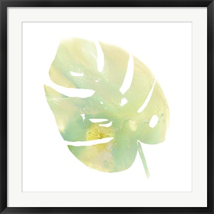 Framed Prisma Tropical I Print