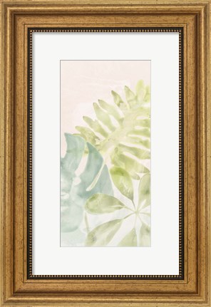 Framed Tropical Sorbet I Print