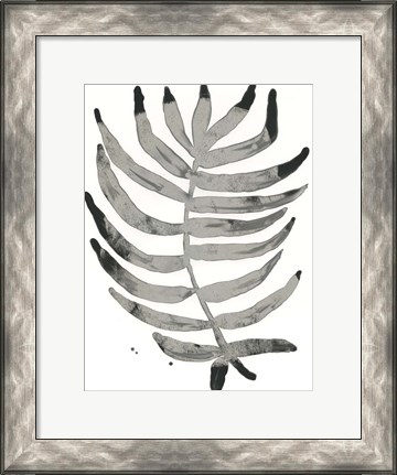 Framed Foliage Fossil IV Print
