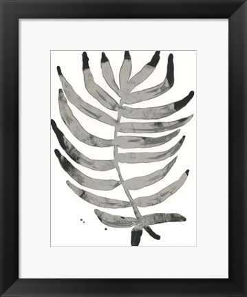 Framed Foliage Fossil IV Print