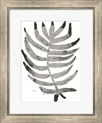 Framed Foliage Fossil IV Print