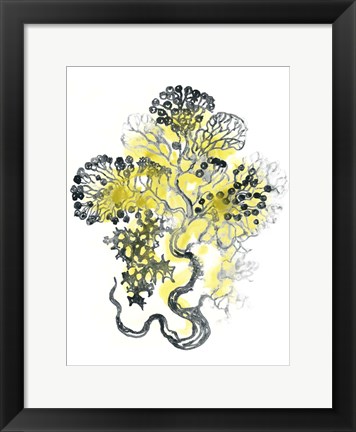 Framed Citron Sea Kelp I Print