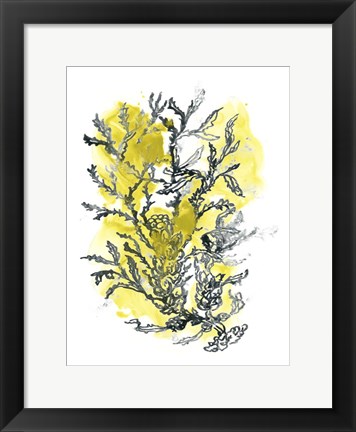 Framed Citron Sea Kelp II Print