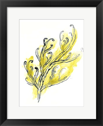 Framed Citron Sea Kelp III Print