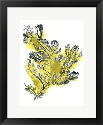 Framed Citron Sea Kelp IV Print