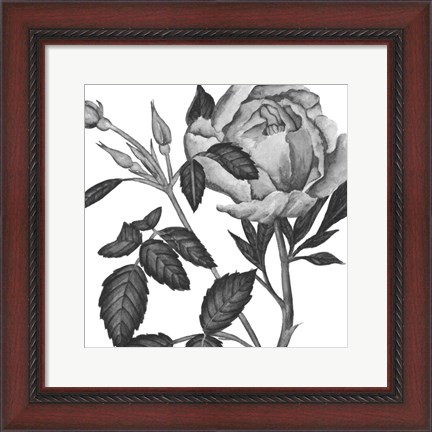 Framed Flowers in Grey I Print