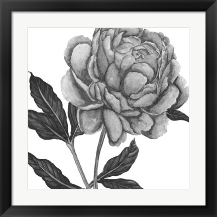 Framed Flowers in Grey IV Print