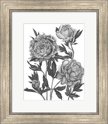 Framed Flowers in Grey V Print