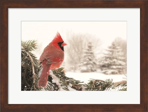 Framed Winter Perch Print