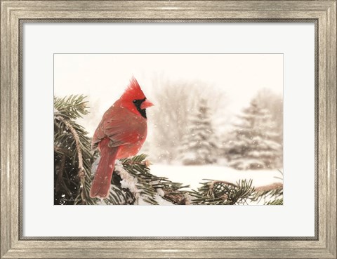 Framed Winter Perch Print