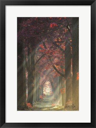 Framed Path of Happiness Print